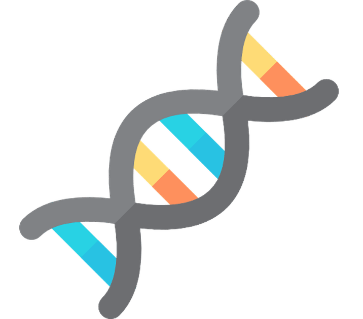 DNA Storage Research